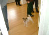 Vernissage am 7. Februar 2003