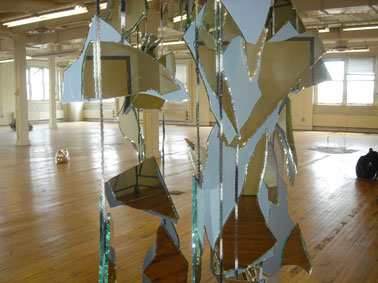 Selina Trepp Installation CAMOUFLAGE 2007 Chicago